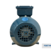 TECO Te3 Cast Iron 3 Phase