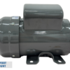 TECO Single Phase Steel Frame – BEGY