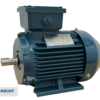 TECO Te3 Cast Iron 3 Phase