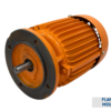 TECO MAXe3 MINING Premium Efficiency