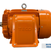 TECO MAXe3 MINING Premium Efficiency