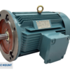 TECO Te3 Severe Duty Cast Iron 3 Phase
