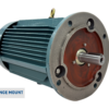 TECO Te3 Severe Duty Cast Iron 3 Phase