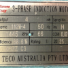 TECO Te3 Severe Duty Cast Iron 3 Phase