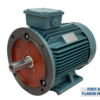 TECO Te3 Severe Duty Cast Iron 3 Phase