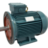 TECO Te3 Severe Duty Cast Iron 3 Phase