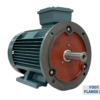 TECO Te3 Severe Duty Cast Iron 3 Phase