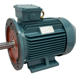 TECO Te3 Severe Duty Cast Iron 3 Phase