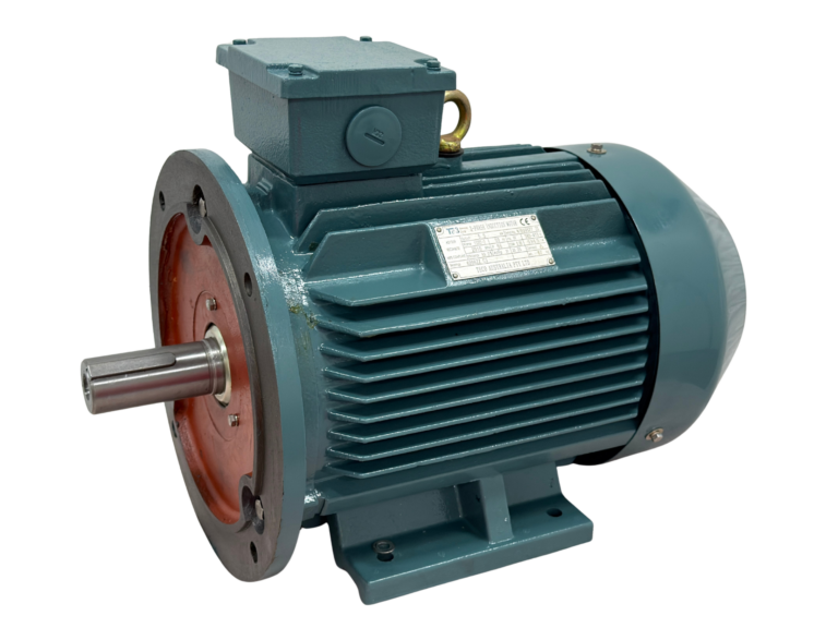 TECO Te3 Severe Duty Cast Iron 3 Phase