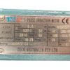 TECO Te3 Severe Duty Cast Iron 3 Phase