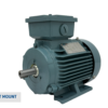 TECO Te3 Severe Duty Cast Iron 3 Phase