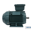 TECO Te3 Severe Duty Cast Iron 3 Phase