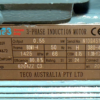 TECO Te3 Severe Duty Cast Iron 3 Phase