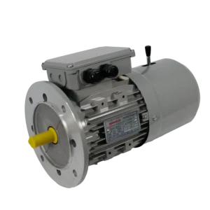 TECO Te3 2 Speed Cast Iron Motors – TEFC