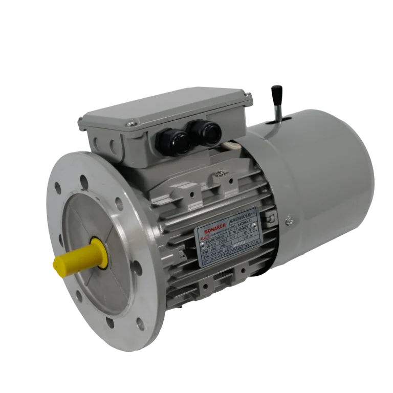 TECO Te3 2 Speed Cast Iron Motors – TEFC