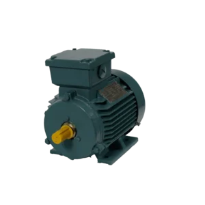 TECO Te3 Cast Iron 3 Phase