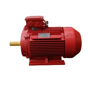 TECO Te3 Severe Duty Cast Iron 3 Phase