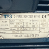TECO Te3 Cast Iron 3 Phase