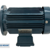 TECO Te3 Cast Iron 3 Phase