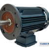 TECO Te3 Cast Iron 3 Phase