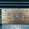 TECO Te3 Cast Iron 3 Phase