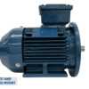 TECO Te3 Cast Iron 3 Phase