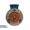 TECO Te3 Cast Iron 3 Phase