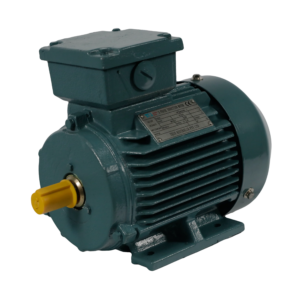 TECO Te3 Severe Duty Cast Iron 3 Phase