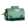 TECO OEM Motors