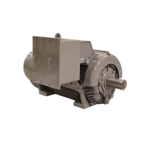 TECO Electric Motors for Hazardous Areas