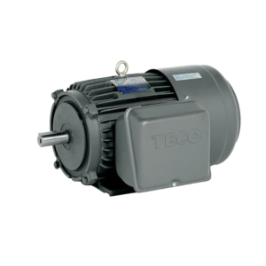 TECO Single Phase Cast Iron Frame – BECY