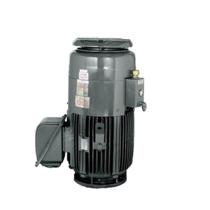 TECO AEBH Vertical Hollow Shaft Motor