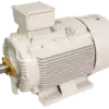 TECO MAXeV4 IE4 Super Premium Efficiency Electric Motor