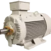 TECO MAXeV4 IE4 Super Premium Efficiency Electric Motor