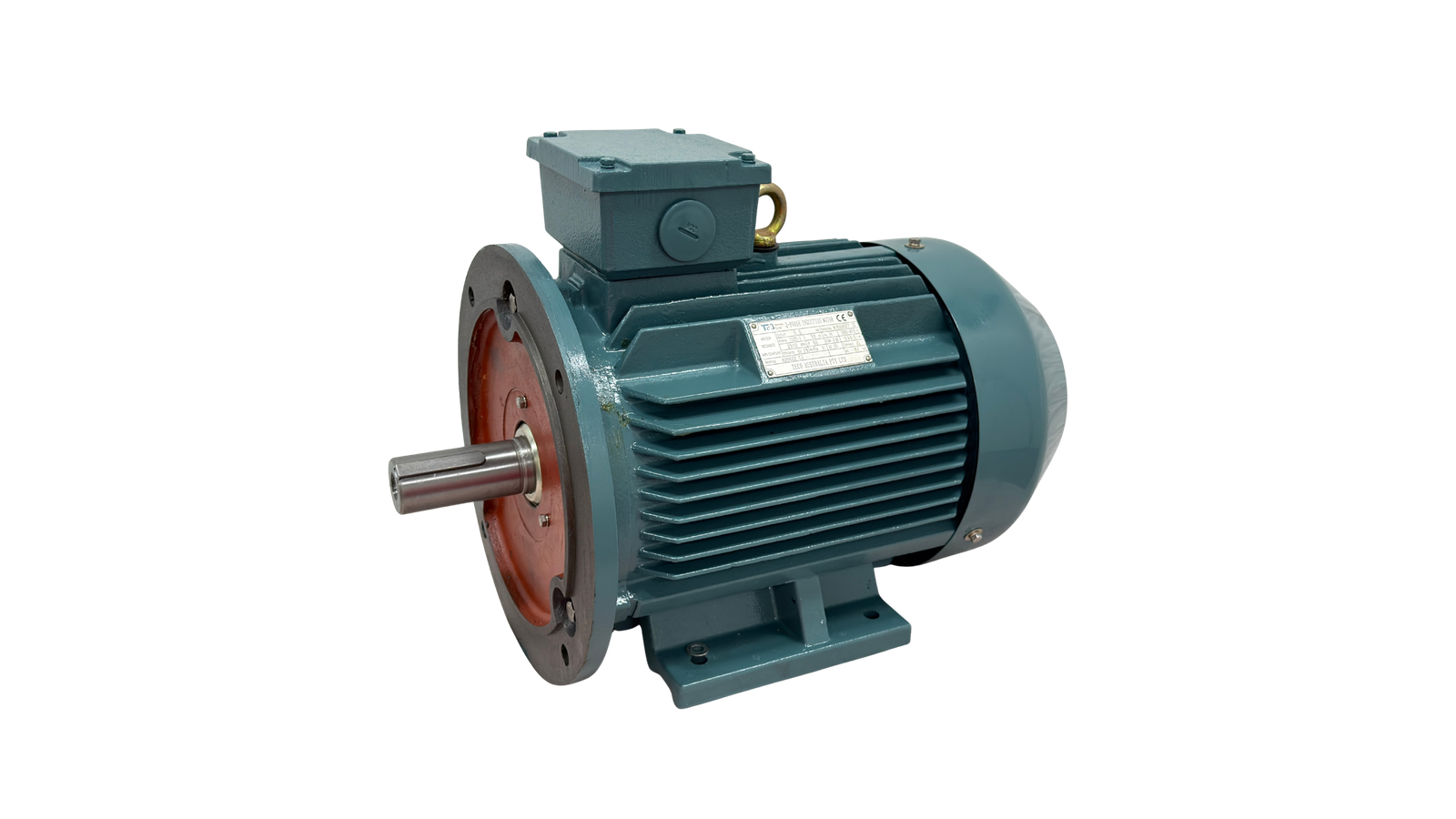 TECO Te3 Severe Duty cast iron three phase electric motor